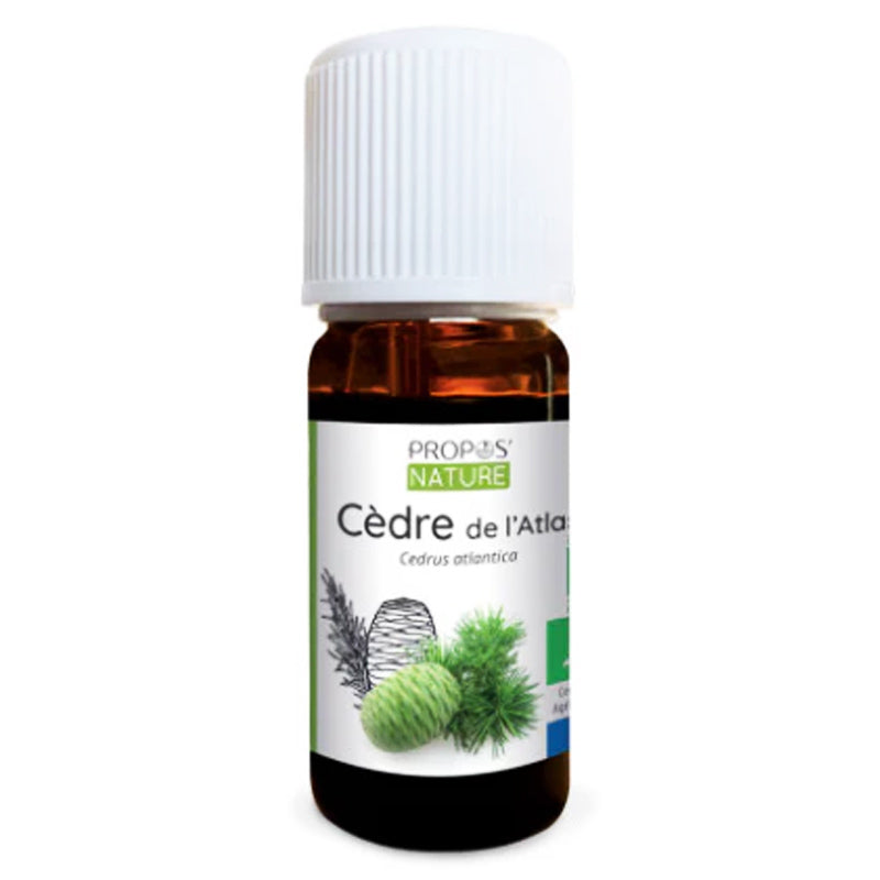 Ätherisches Öl Atlaszeder bio