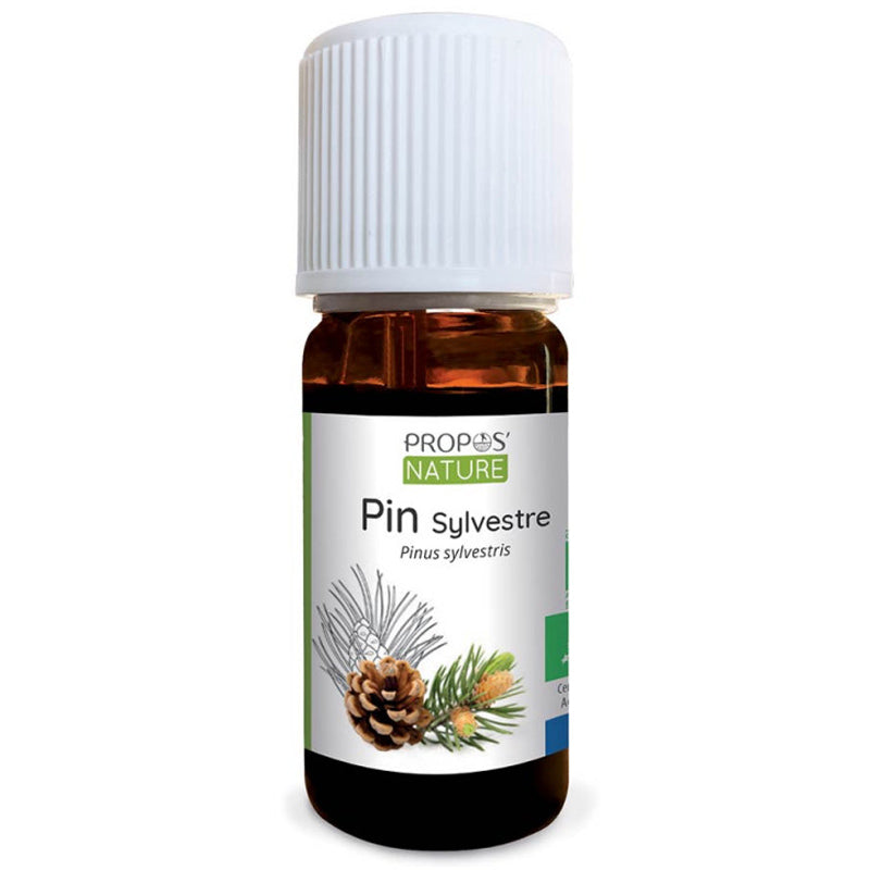 Ätherisches Öl Bio Waldkiefer