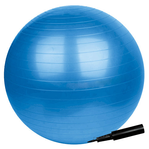 Gym Ball-Techsport
