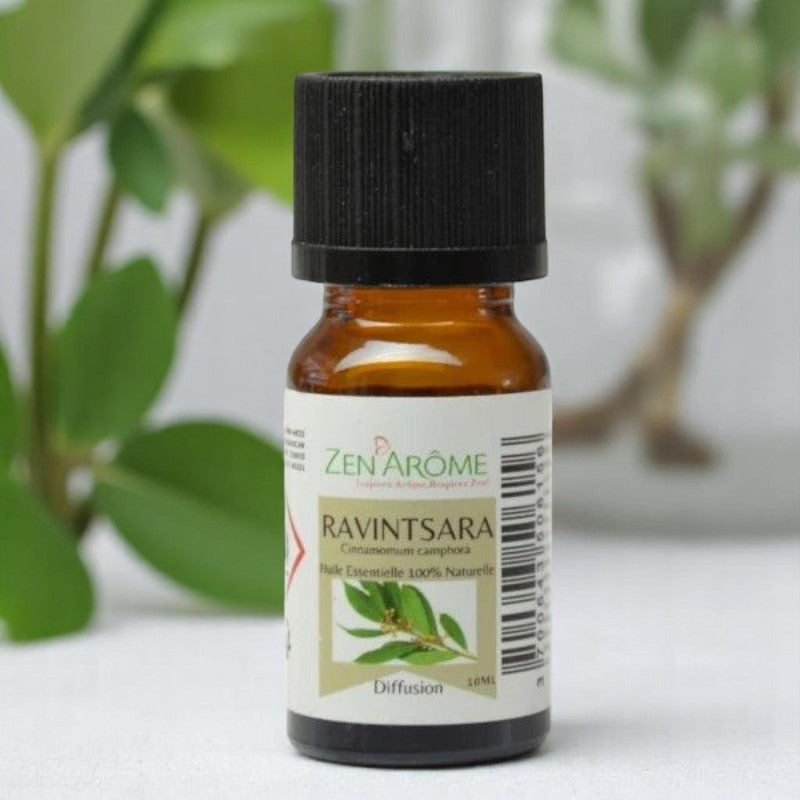 Ätherisches Öl Ravintsara