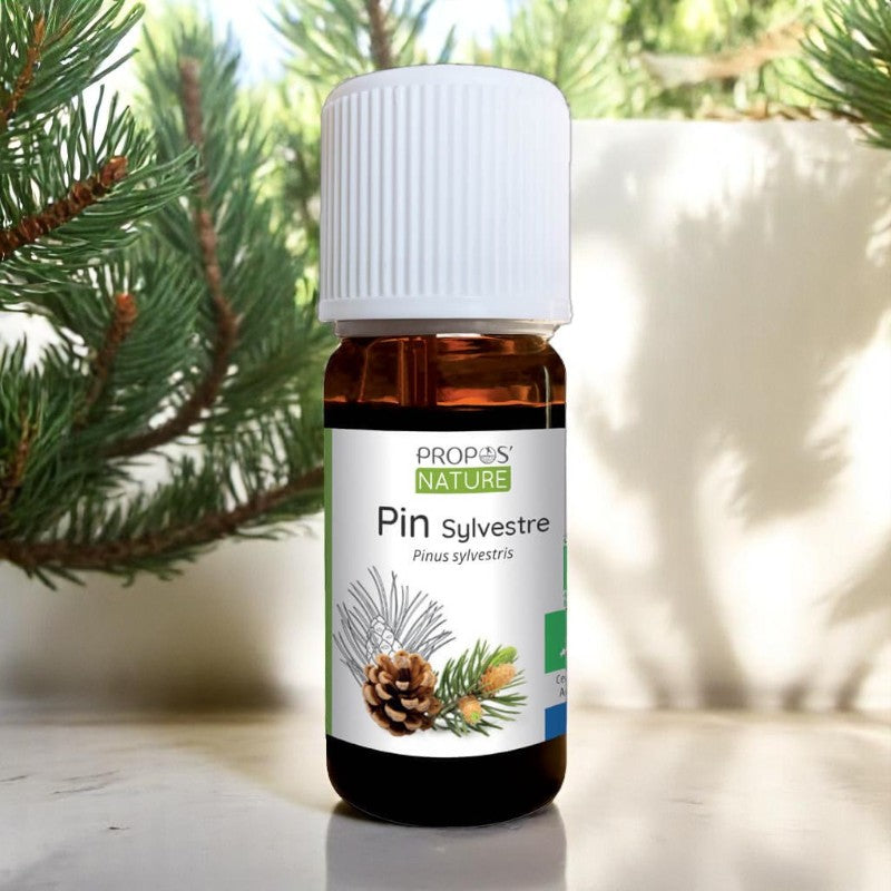 Ätherisches Öl Bio Waldkiefer