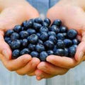 Antioxidantien