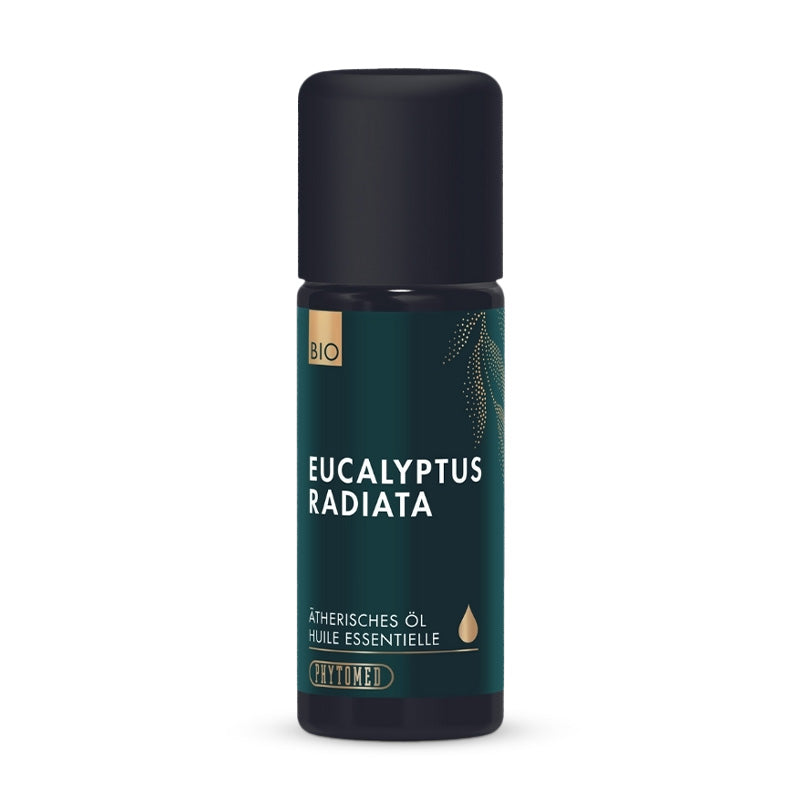 Ätherisches Öl Eukalyptus Radiata Bio 