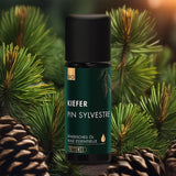 Ätherisches Öl Bio Waldkiefer 