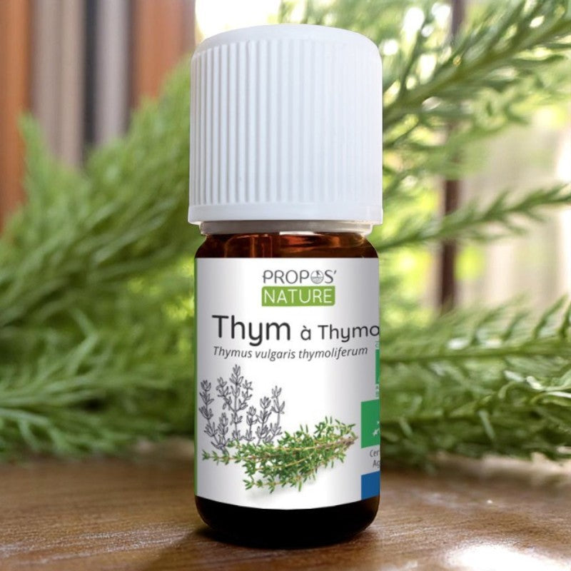 Ätherisches Öl Thymian Linalool Bio 
