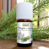 Ätherisches Öl Thymian Linalool Bio 